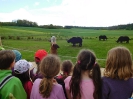 Kinderchortag im Archäopark Niederstotzingen_42